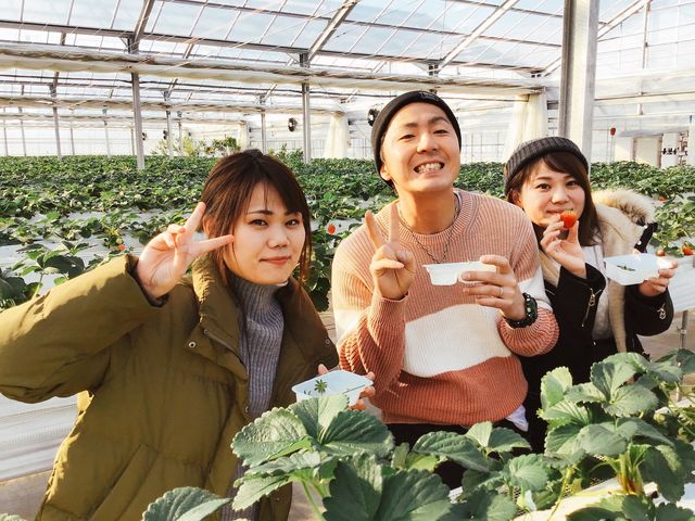 �����Ђӂ��`��