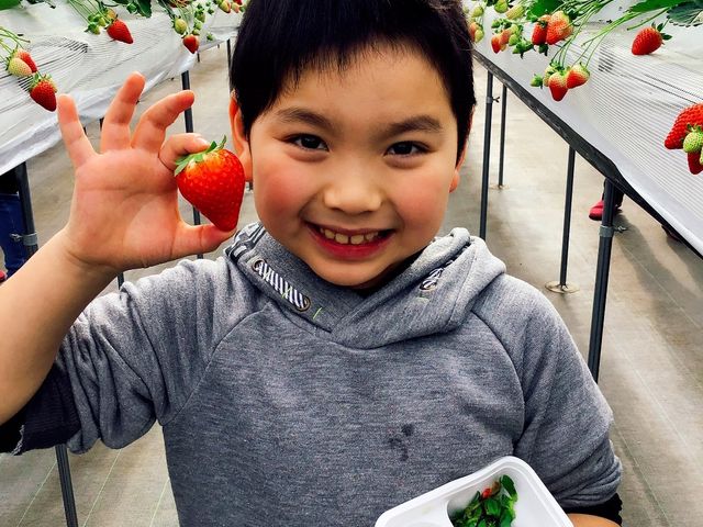 �����Ђӂ��`��