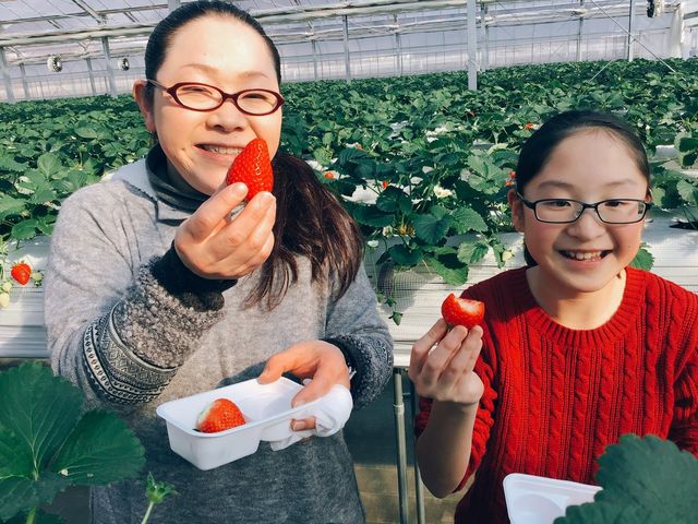 �����Ђӂ��`��