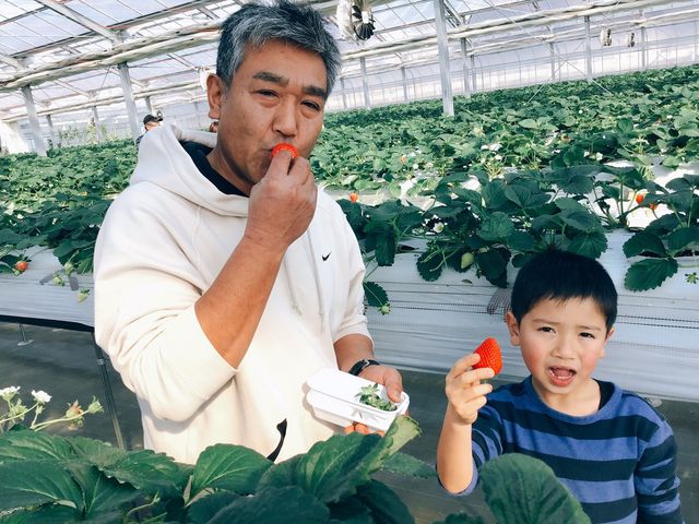 �����Ђӂ��`��