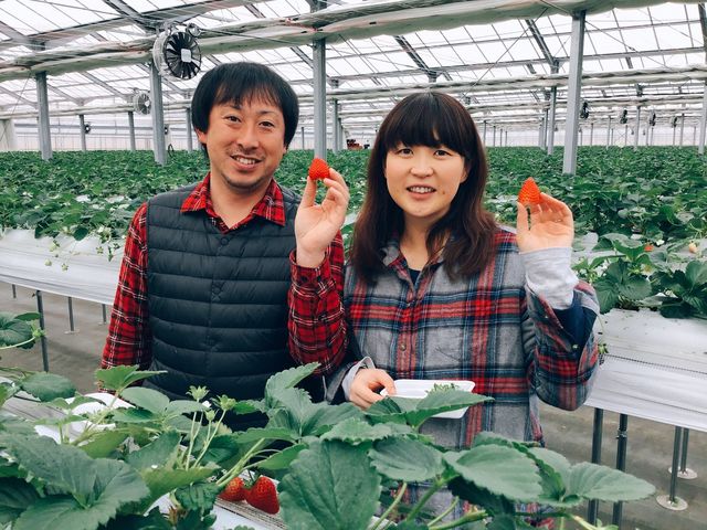 �����Ђӂ��`��