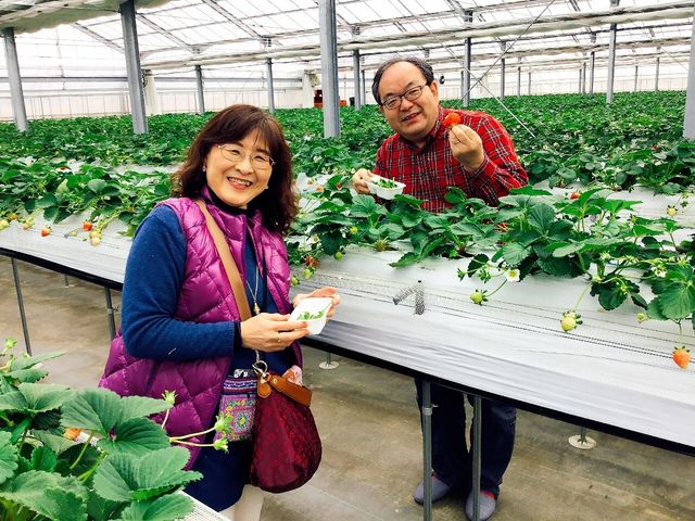 �����Ђӂ��`��