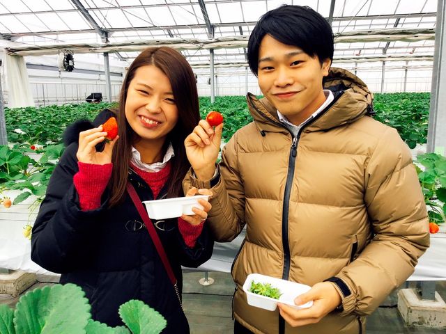 �����Ђӂ��`��