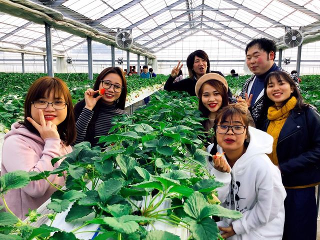 �����Ђӂ��`��