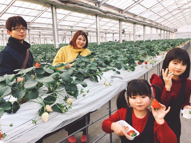 �����Ђӂ��`��