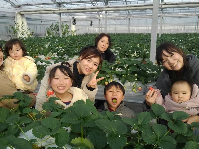 �����Ђӂ��`��