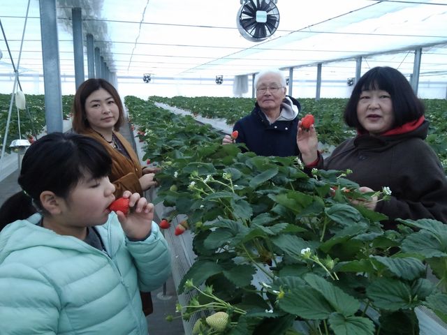 �����Ђӂ��`��