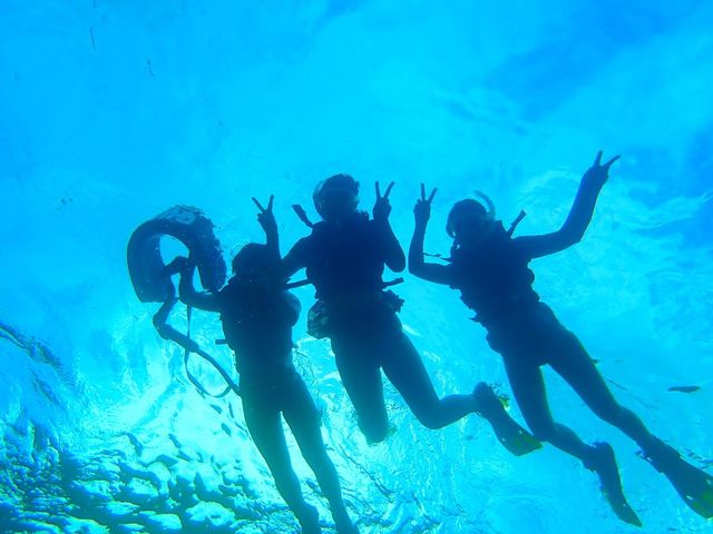 �u�C����D���I�v�ȃK�C�h���������܂�_�Ί_�� ADVENTURE PiPi