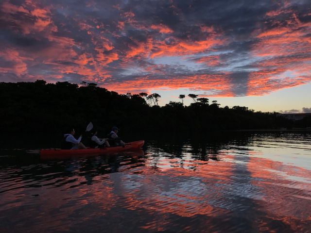 �J�k�[���猩�グ�钩�Ă��̋�_�Ί_�� ADVENTURE PiPi