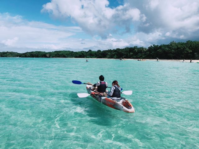 �����̂ޓ����x_�Ί_�� ADVENTURE PiPi