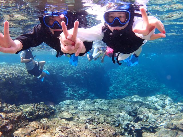 ���C�Ƀe���V����MAX�I_�Ί_�� ADVENTURE PiPi