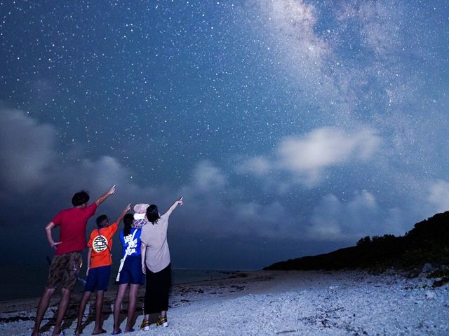 ���{���́u����ی��v�Ɏw�肳�ꂽ���V�̐���I_�Ί_�� ADVENTURE PiPi