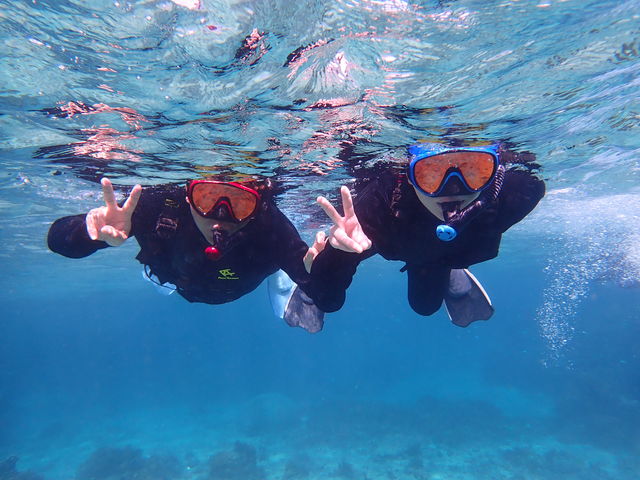 ���������C�ŃV���m�[�P�����O_�Ί_�� ADVENTURE PiPi