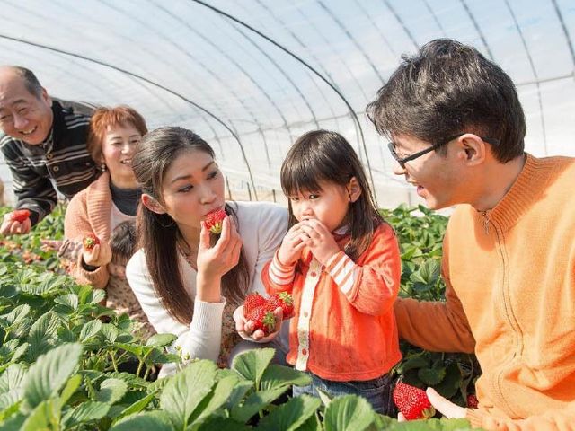 ���Ƒ��E���F�����E�w�Z��E��̊F����Ɓu�[��_�����������v�Ŏv���o�Â�����_�[��_��