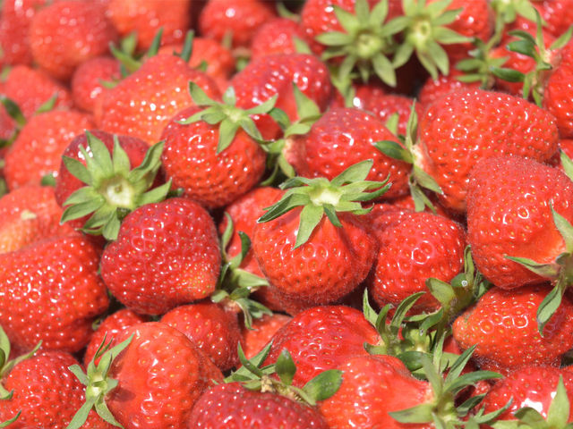 ���Ԃ�5�����̃C�`�S���ō̂��u�ԍ肢�����v_�̌��𗬎{�݁@���u�����H