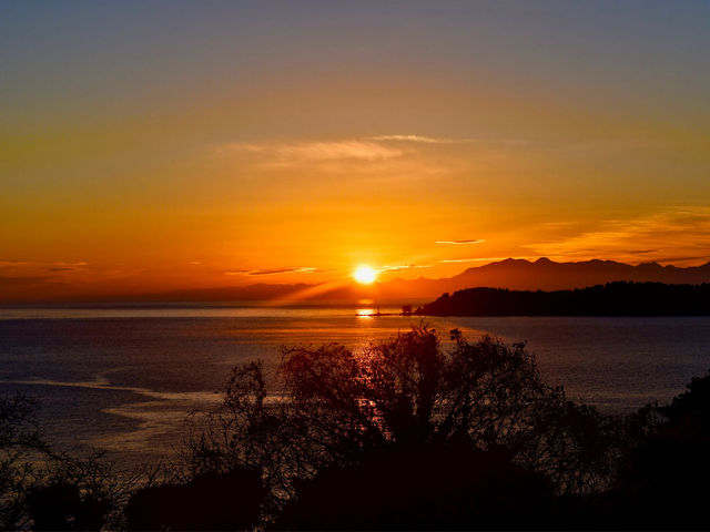 ���u�����H�e���X����̒���_�̌��𗬎{�݁@���u�����H