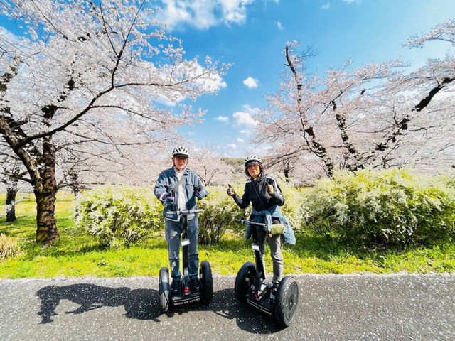 �����u�ːX�ь����Z�O�E�F�C�c�A�[