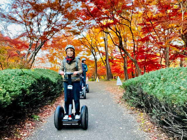 �����u�ːX�ь����Z�O�E�F�C�c�A�[