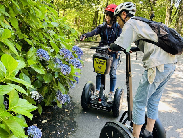 �����u�ːX�ь����Z�O�E�F�C�c�A�[