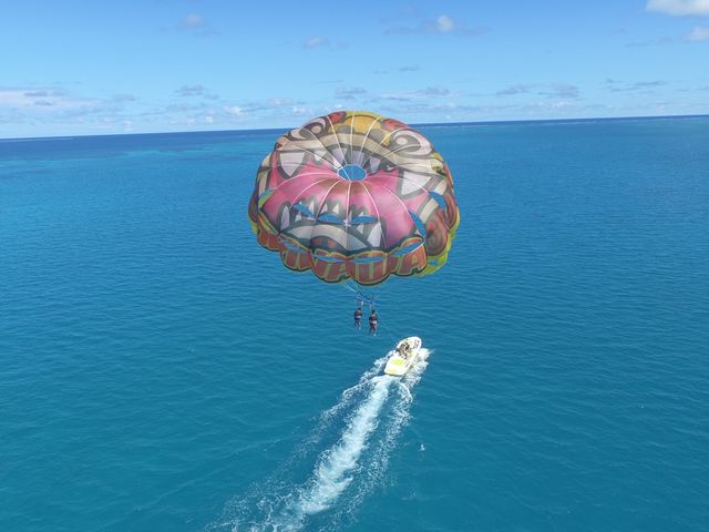 �p���Z�[�����O�I
����B��̃V�[�T�[�p���Z�[���I_�I�[�V�����A�C�����h����