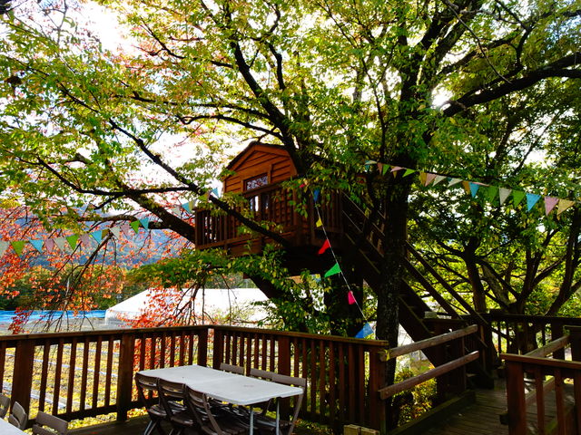 �N���E�h�t�@���f�B���O�Ō��Ă�����c���[�n�E�X�ɂ��o���Ă݂ā�_�݂Ȃ��݃t���[�c�����h���M�g�[��