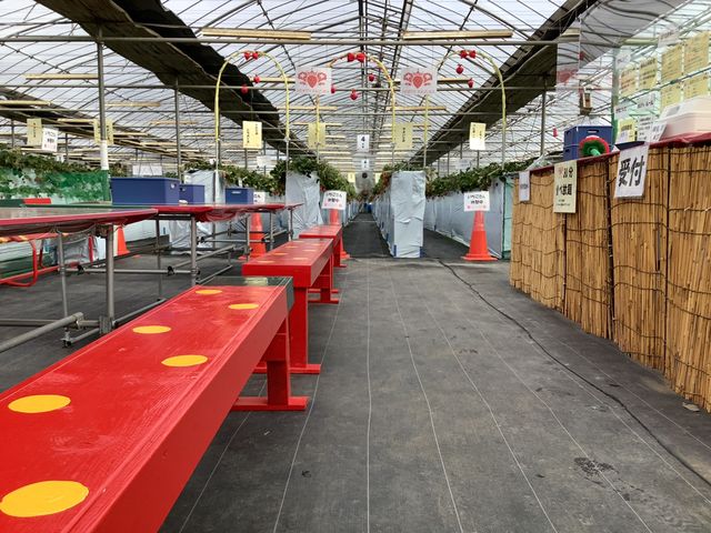 ��t�t�߂̗l�q�ł��B_�z���e�B�L��