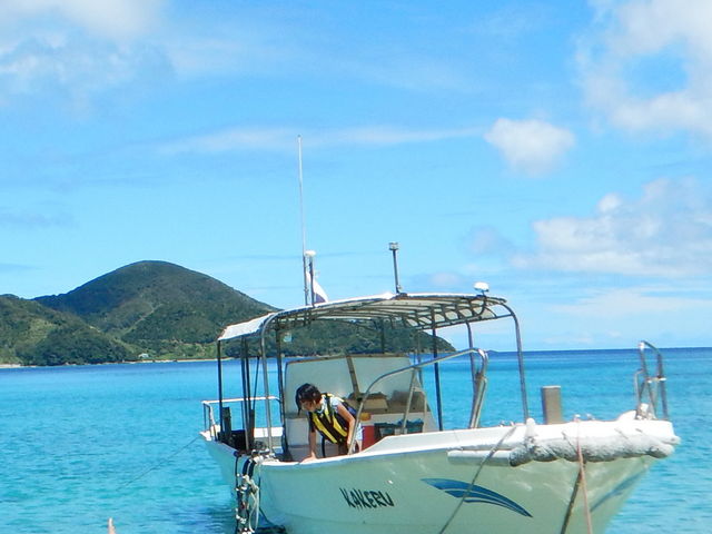 �����哇�k���@���܂݂��_�C�o�[