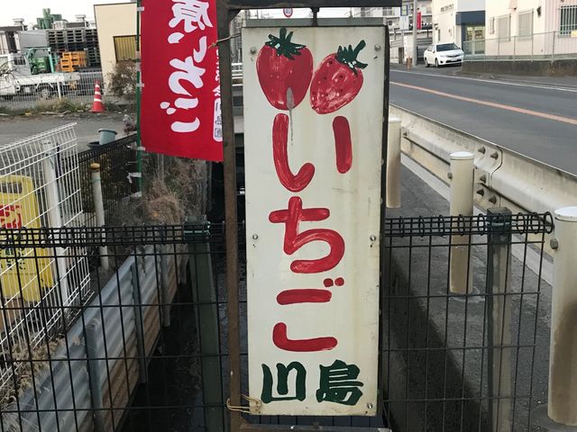 �쓇��������