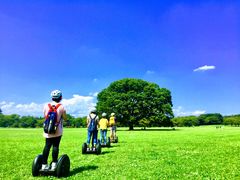 ���a�L�O�����Z�O�E�F�C�c�A�[�̎ʐ^1