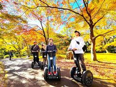 uːXьZOEFCcA[̎ʐ^1