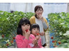 みなかみフルーツランドモギトーレの写真一覧 - じゃらんnet