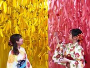 PAPEPO MUSEUM py|~[WA̎ʐ^2