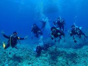 scuba�@diving�@mahalo�̎ʐ^2