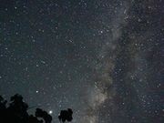 marinemate Luana̎ʐ^4