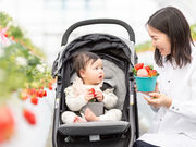 �t���g���G �����ʎ����̎ʐ^3