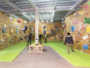 STUMP CLIMBING̎ʐ^2