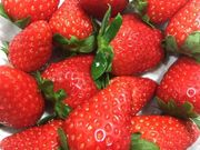 �܂�悵�_���̎ʐ^4