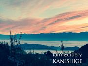 CAMP&CHEERS KANESHIGE̎ʐ^3