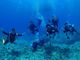 scuba�@diving�@mahalo�̎ʐ^2