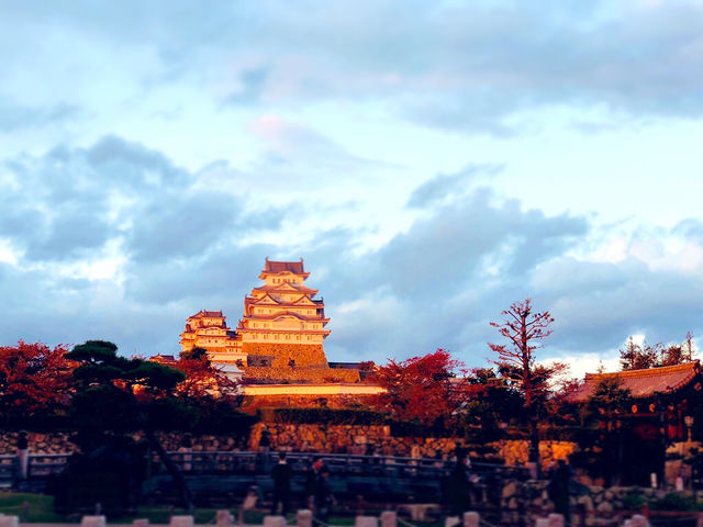 �[�f�����������P�H��ł���_�ό��l�͎ԁ@�V���ԉ��@�P�H�X