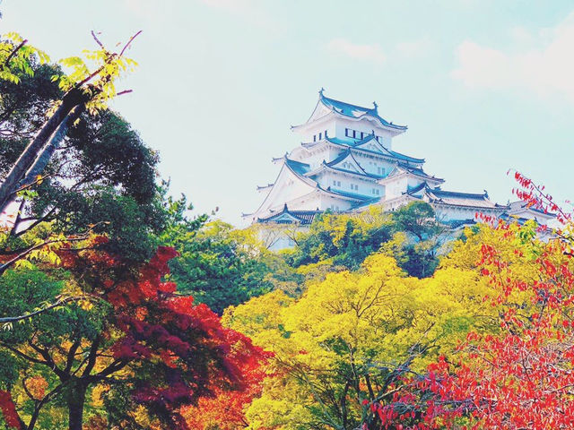 �G�ɕ`�����悤�Ȕ��������i��_�ό��l�͎ԁ@�V���ԉ��@�P�H�X