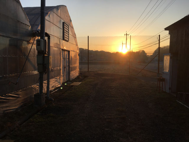 ���������̂��Ƃ͉���Ȃǂ������ł����B_���삢������