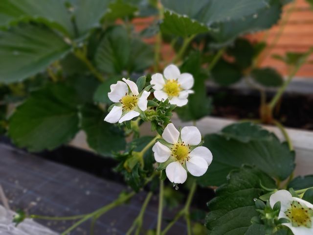 �Ԃ��ł���Ƒ��X�Ƃ��������Ȃ��Ă��܂���_��������_��