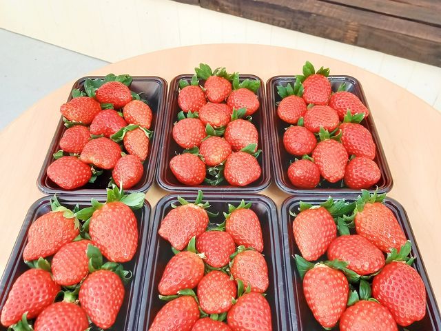 �����ɂ���Ă͂������̒���������Ă���܂��B�������������������Ƃł��y����ł��������܂���_��������_��