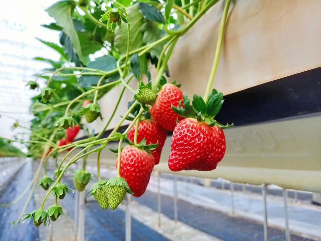 �������̖��̏{��12���I���Ж�����Ă��������ˁ�_��������_��