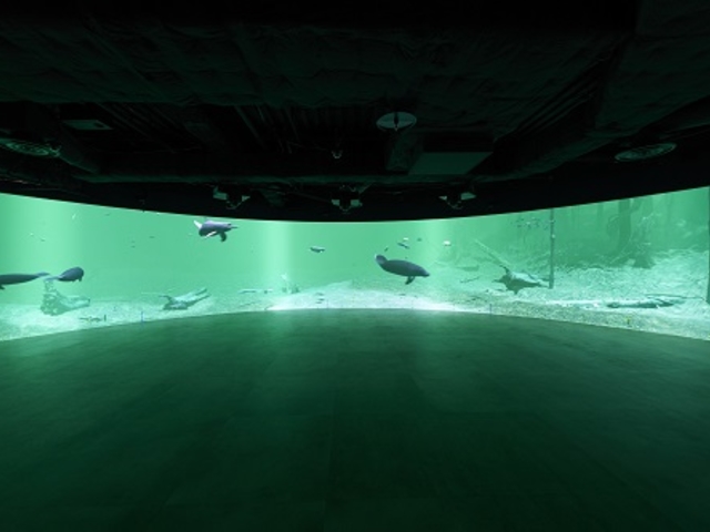 �p�m���}�X�N���[���]�[��_�J���X�C ��萅����