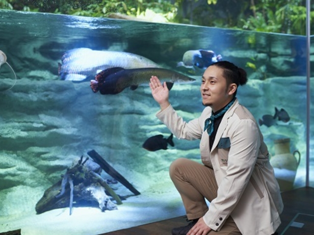 �u���������v�v���O�������D�]�J�Ò�_�J���X�C ��萅����