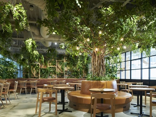 9�K������уJ�t�F Sweets & Cafe�ł̓o���X�^�̟����R�[�q�[��X�C�[�c���������オ�肢�������܂�_�J���X�C ��萅����