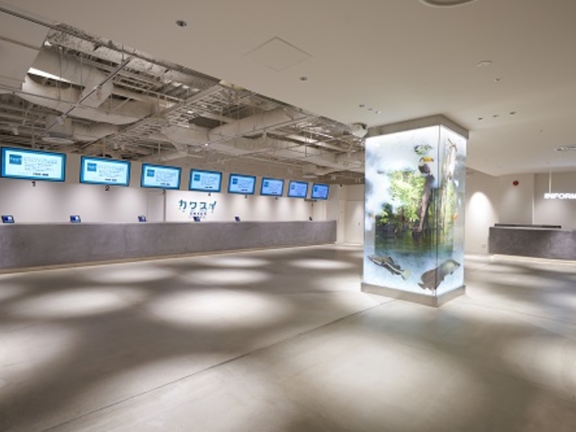 ��胋�t����10�K�ɃJ���X�C�`�P�b�g�J�E���^�[���������܂�_�J���X�C ��萅����