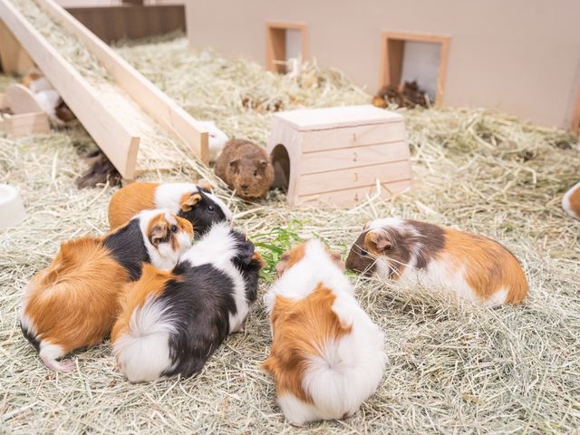 �ӂꂠ���p�[�N�ł̓������b�g�����փG�T���̌����ł��܂�_�J���X�C ��萅����